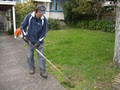 Select Lawn Mowing Auckland City image 3