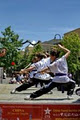 Siu Lum Gar Kung Fu image 3