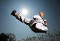 Taekwondo Union of New Zealand image 3