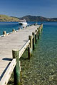 Tasman Photography image 4