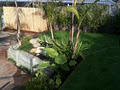 Urban Oasis Landscape logo