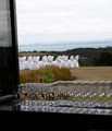 Chardy Ridge image 5