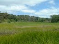 Little Shoal Bay Reserve image 2