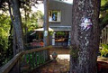 Nelson Bed and Breakfast - Bushwalk Bed and Breakfast Homestay logo