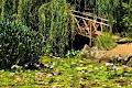 New Zealand Photography Tours image 1
