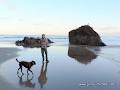 Piha Surf School image 2