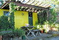 Pukeko Cottage Backpackers image 3