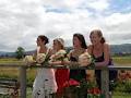 Arrangements - The Wedding Hire Specialists logo