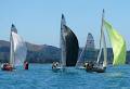 Auckland Sailing Club logo