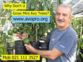 AvoPro Ltd / AvoGrow Ltd image 1