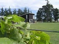 Blackhouse Vineyard and B&B image 3