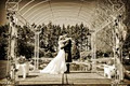 Hampton Lea Gardens image 1