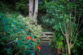 Matakana B&B - Bed and Breakfast image 6