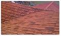 Painta Property Services image 5
