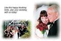 Tauranga Weddings image 2