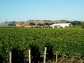 Unison Vineyard image 2