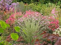 Garden in Christchruch - Frensham Gardens image 3